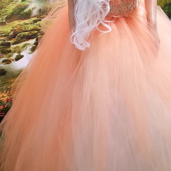 SAMPLE GOWN ONLY-LARISSA Peach Ivory Wedding Ballgown - Picture 7 of 8